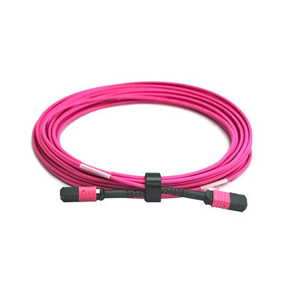 MTP Trunk Cable Assembly 2M Length with Corning ClearCurve® for High Bandwidth Data Transmission