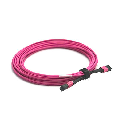 MTP Trunk Cable Assembly 2M Length with Corning ClearCurve® for High Bandwidth Data Transmission